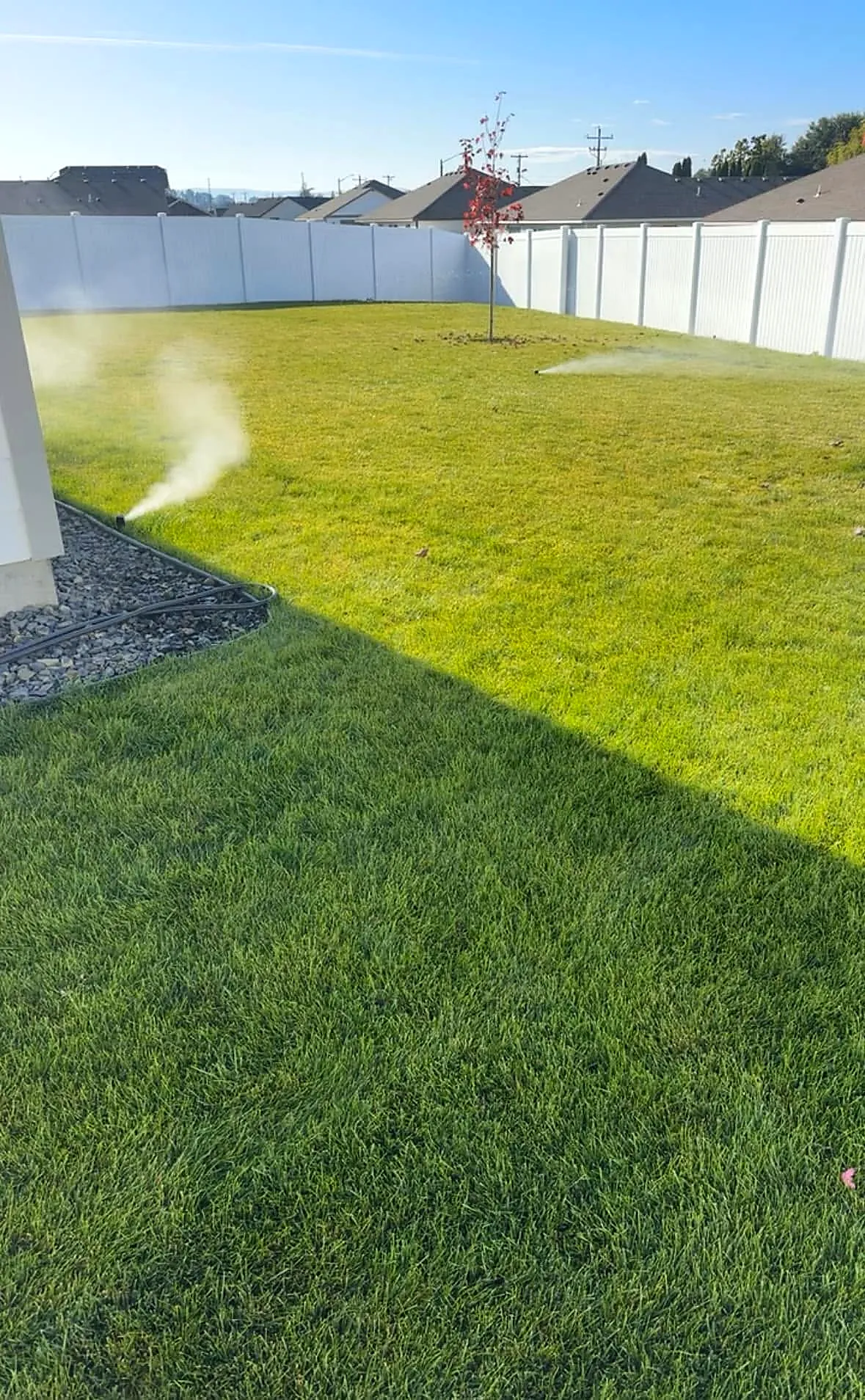 An in-ground sprinkler running across a healthy green lawn at golden hour, watering efficiently zone by zone