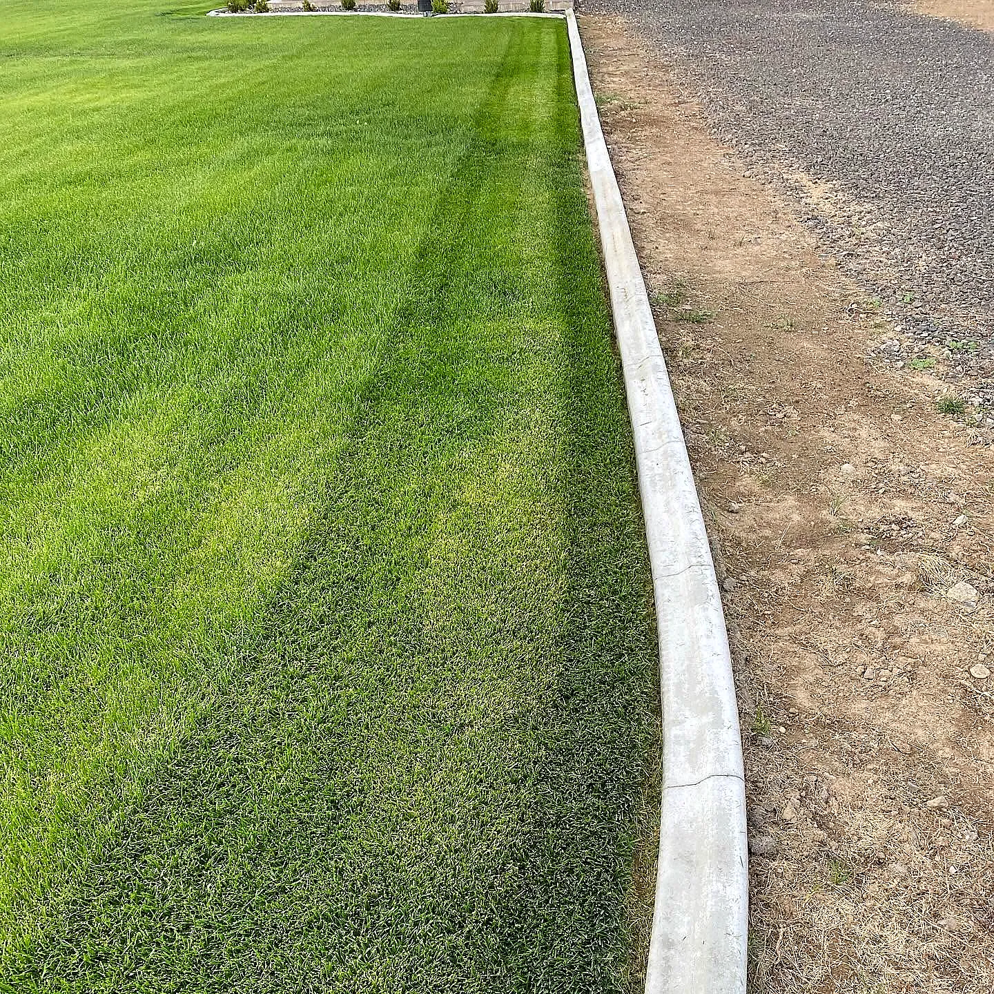 New sod laid right up to a clean concrete curb edge